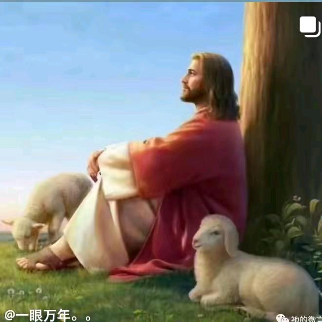李姐😁