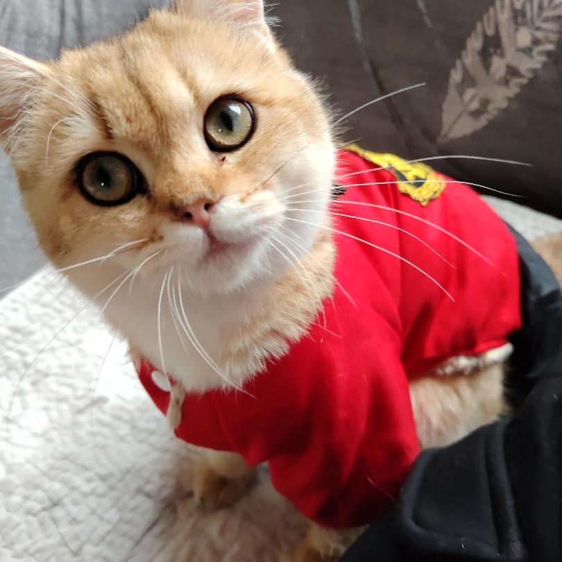 十八子