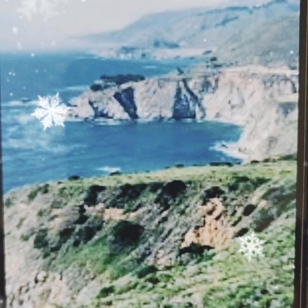 东东