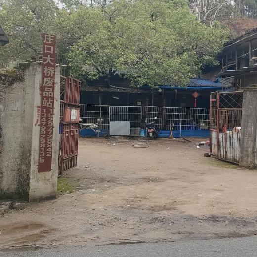 庄口大桥废品回收