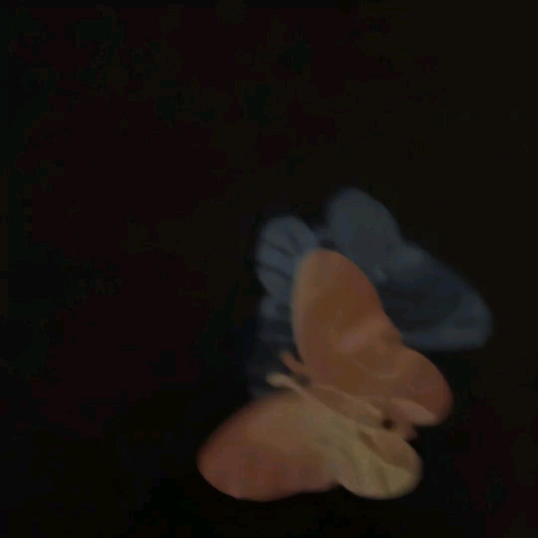 绚丽的仓鼠