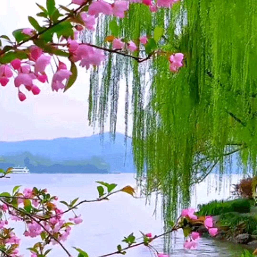 ☘️程🌾★🌹★🌾🌹★🌺