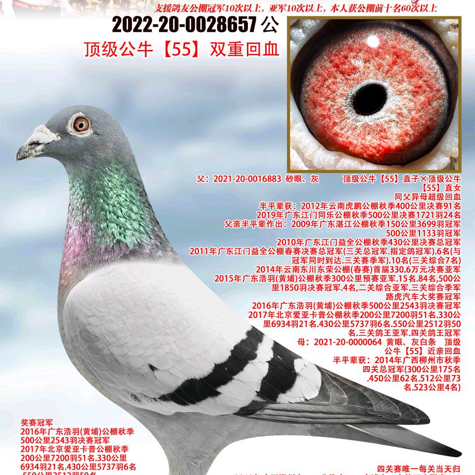 河南辉煌国际寄养棚