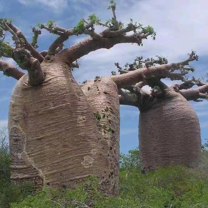 水壶里的凉白开