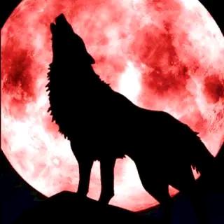 ⚜️碧苍狼⚜️