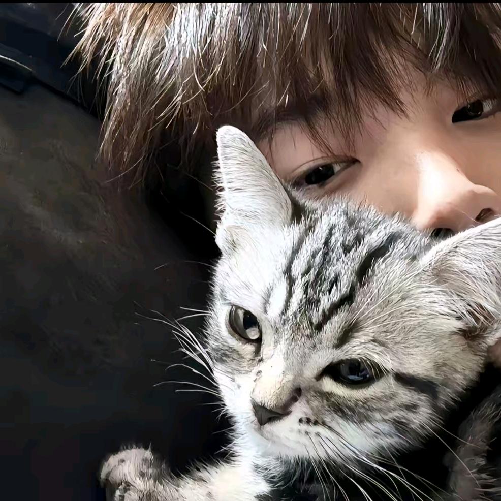 骑着猪头抽兰州