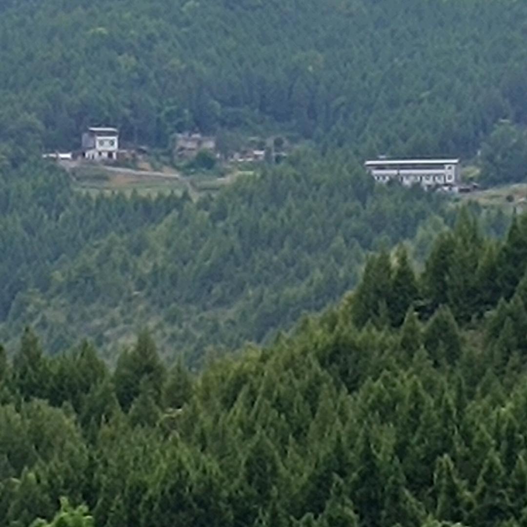 雄鹰展翅