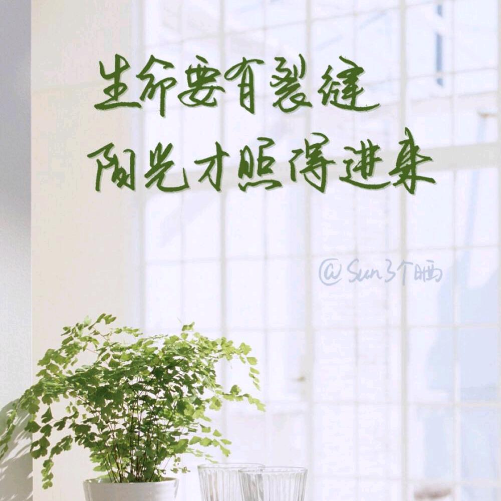 贰拾伍