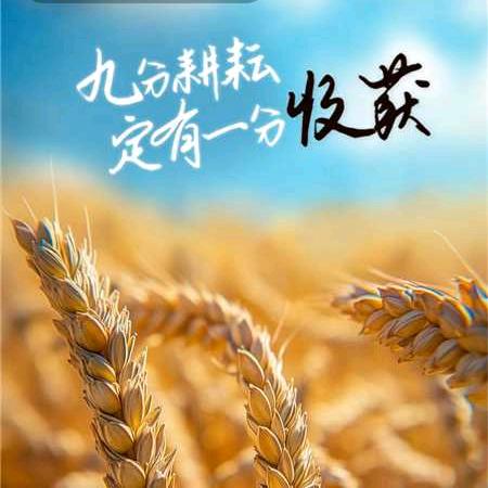 我是熙妈🎊