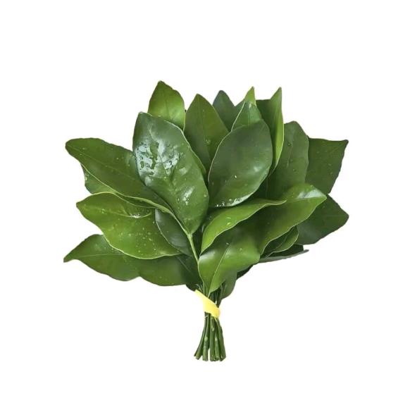 🌿