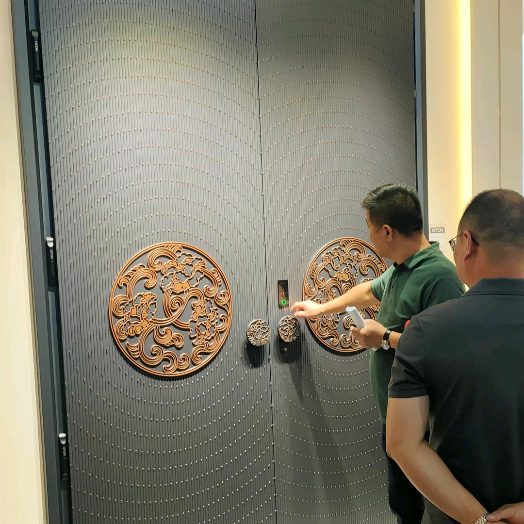 苏州欧盾别墅大门全屋定制（横塘好易家店）