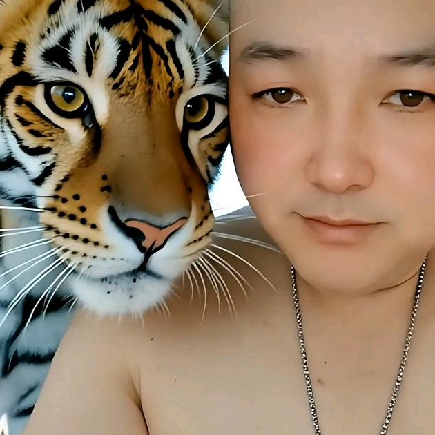 皖肥西袁老大