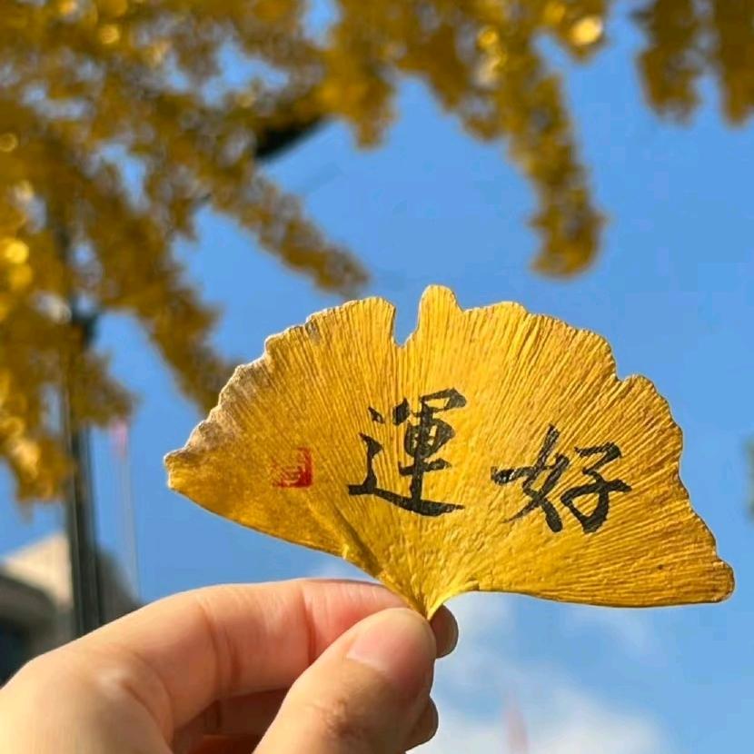 看那百货