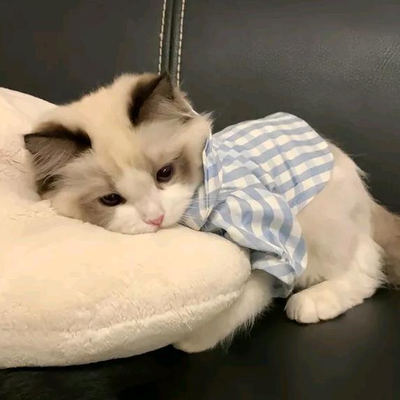 江苏财阀