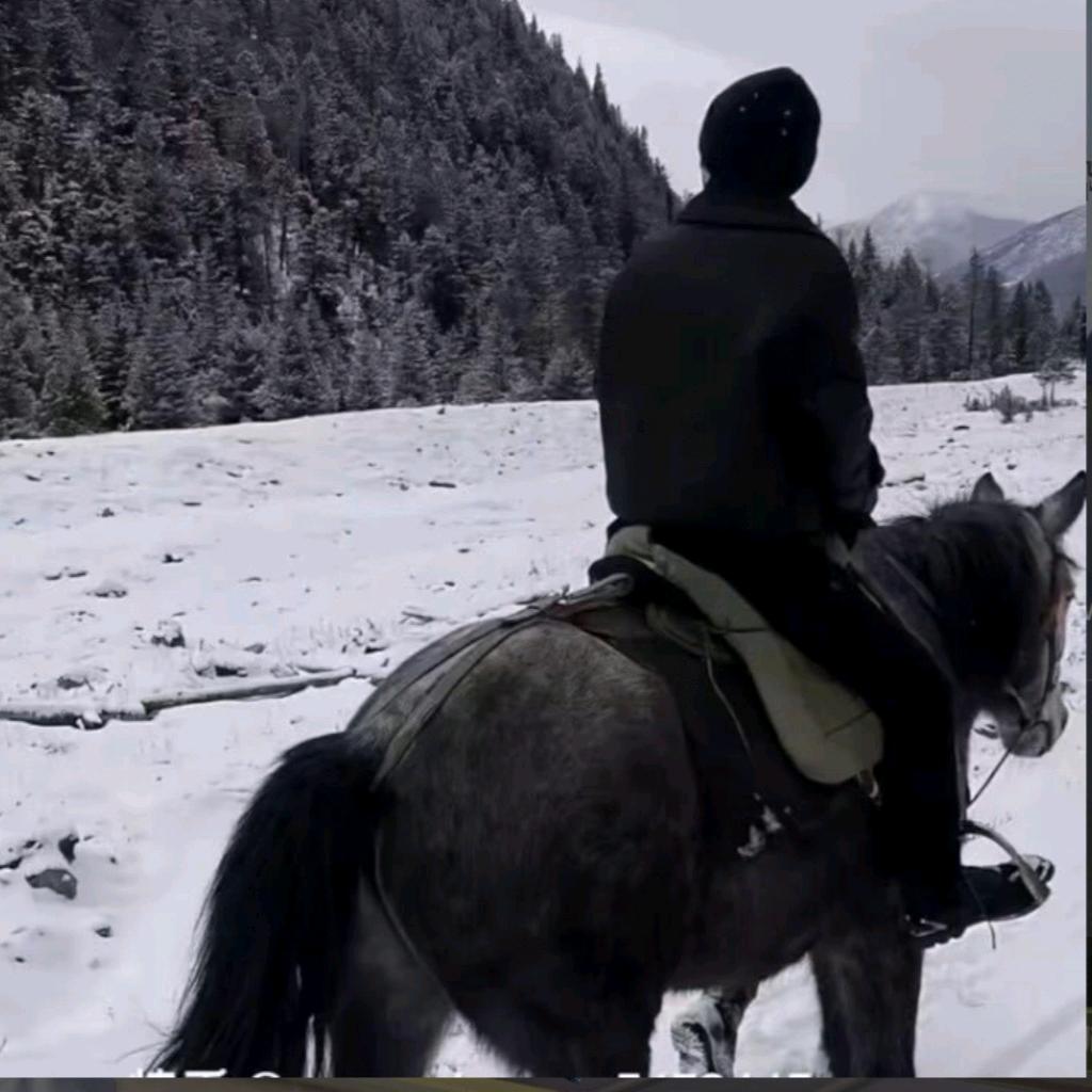 AA
