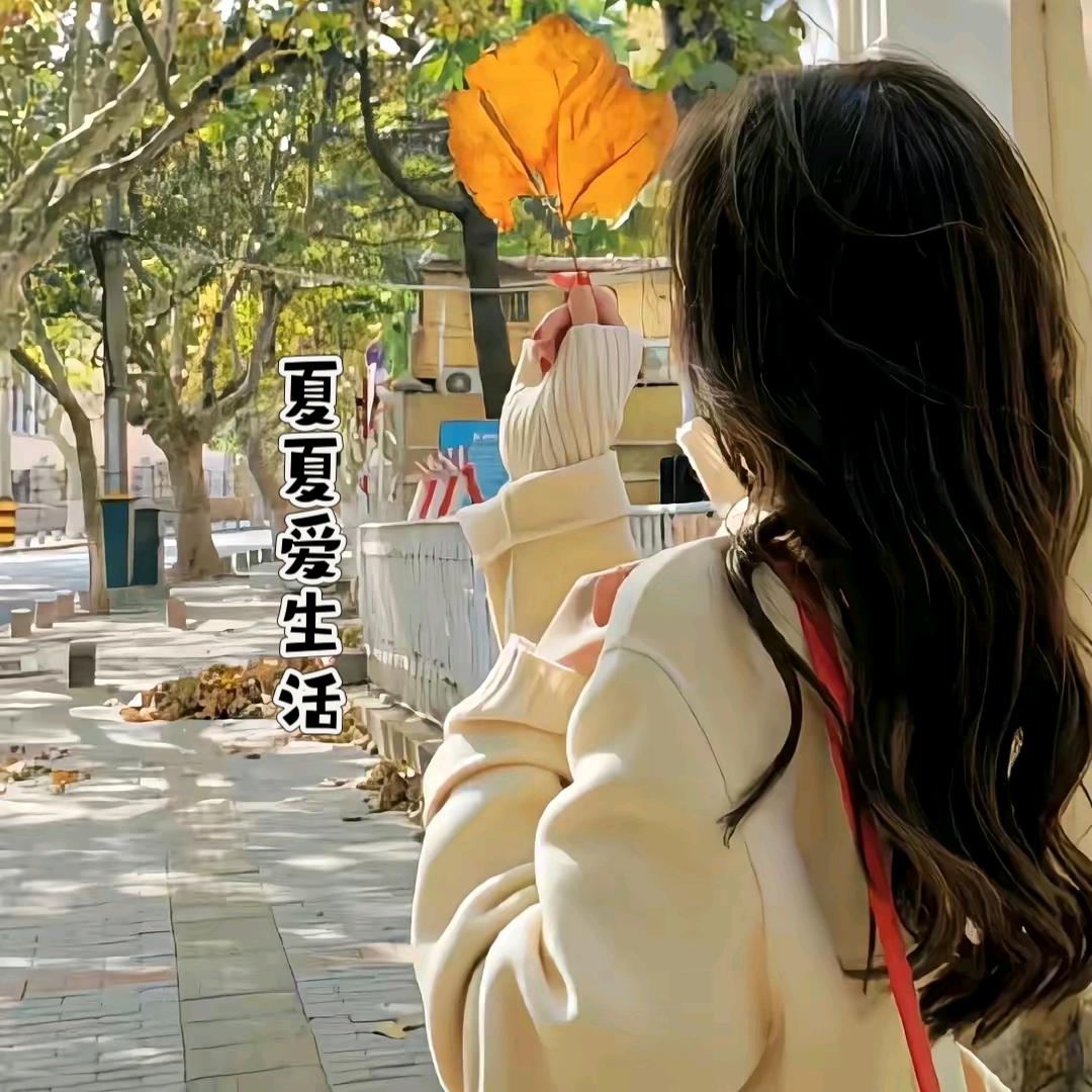 夏夏爱生活