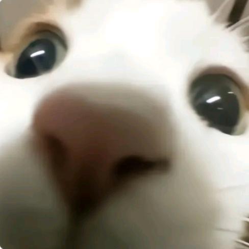 CHU