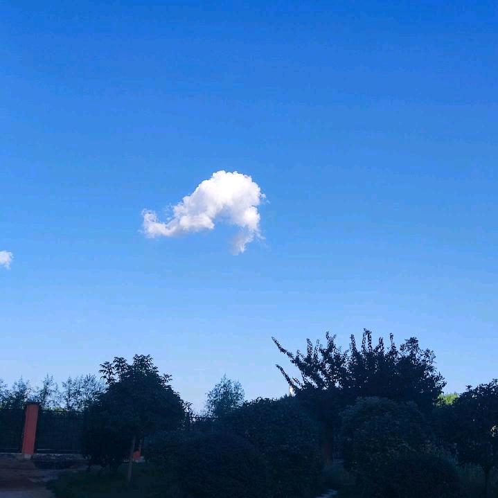 是他的李李吗