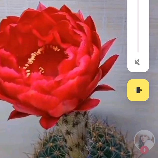 凤霜凤洁凤天鸾&qu…