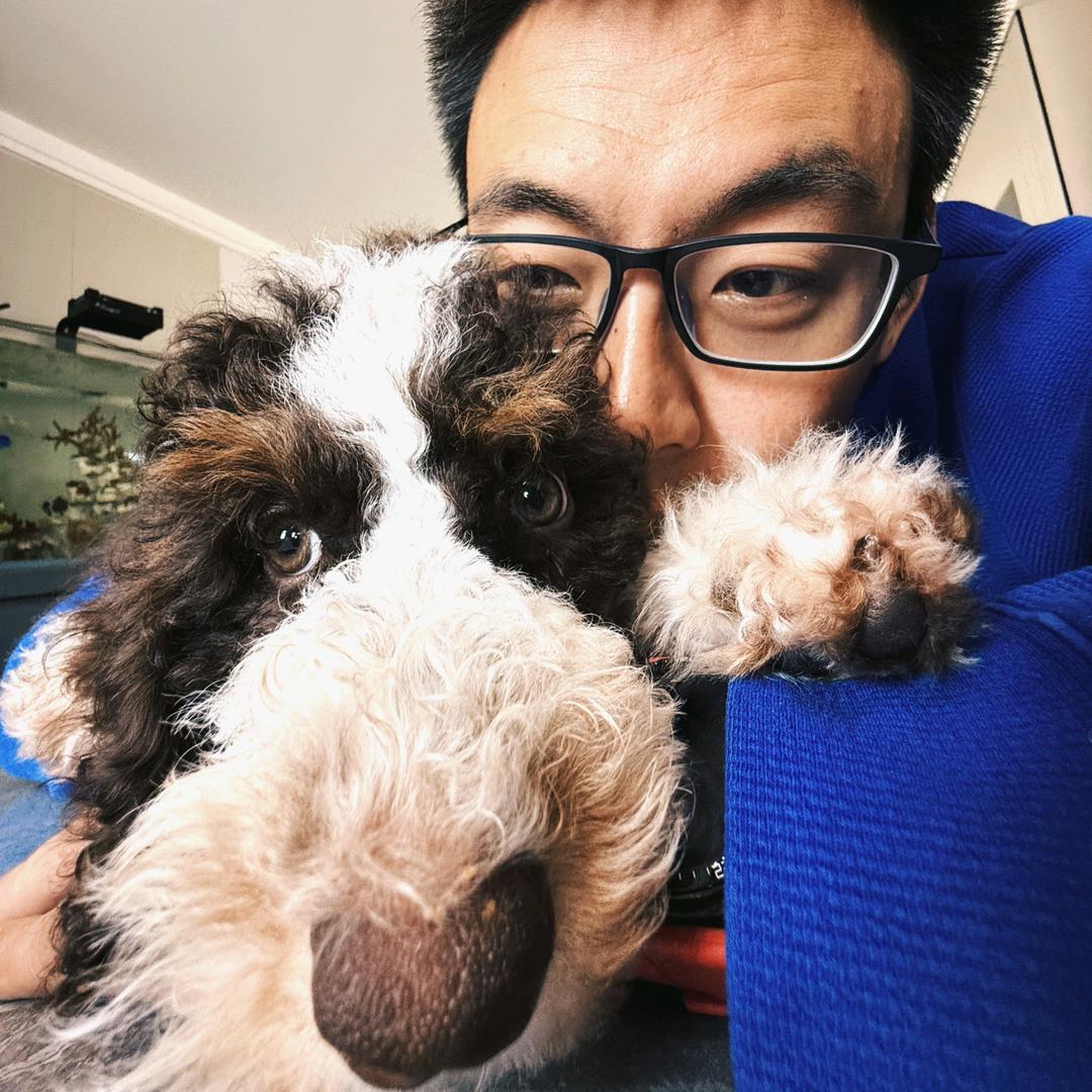 钱夫和炸毛