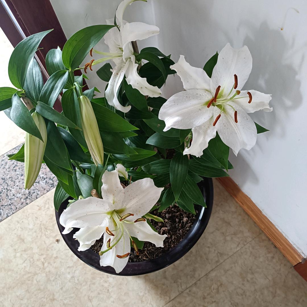 彩虹总在风雨后