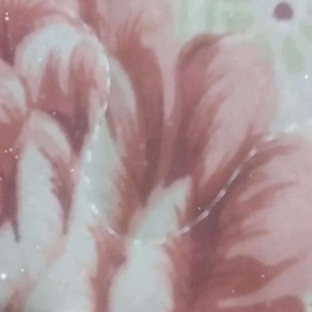 最美的相遇5221