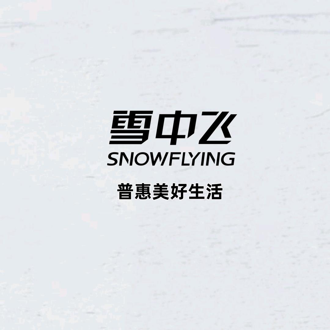 @高陵雪中飞艳姐