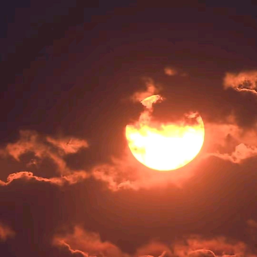 斐济岛上一粒沙