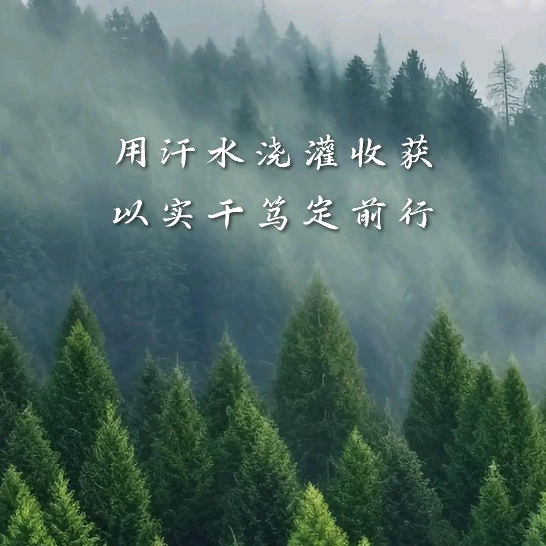 彬彬bin