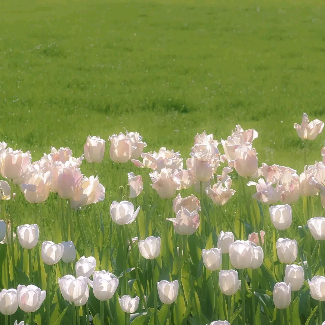 阴天晴天下雨天