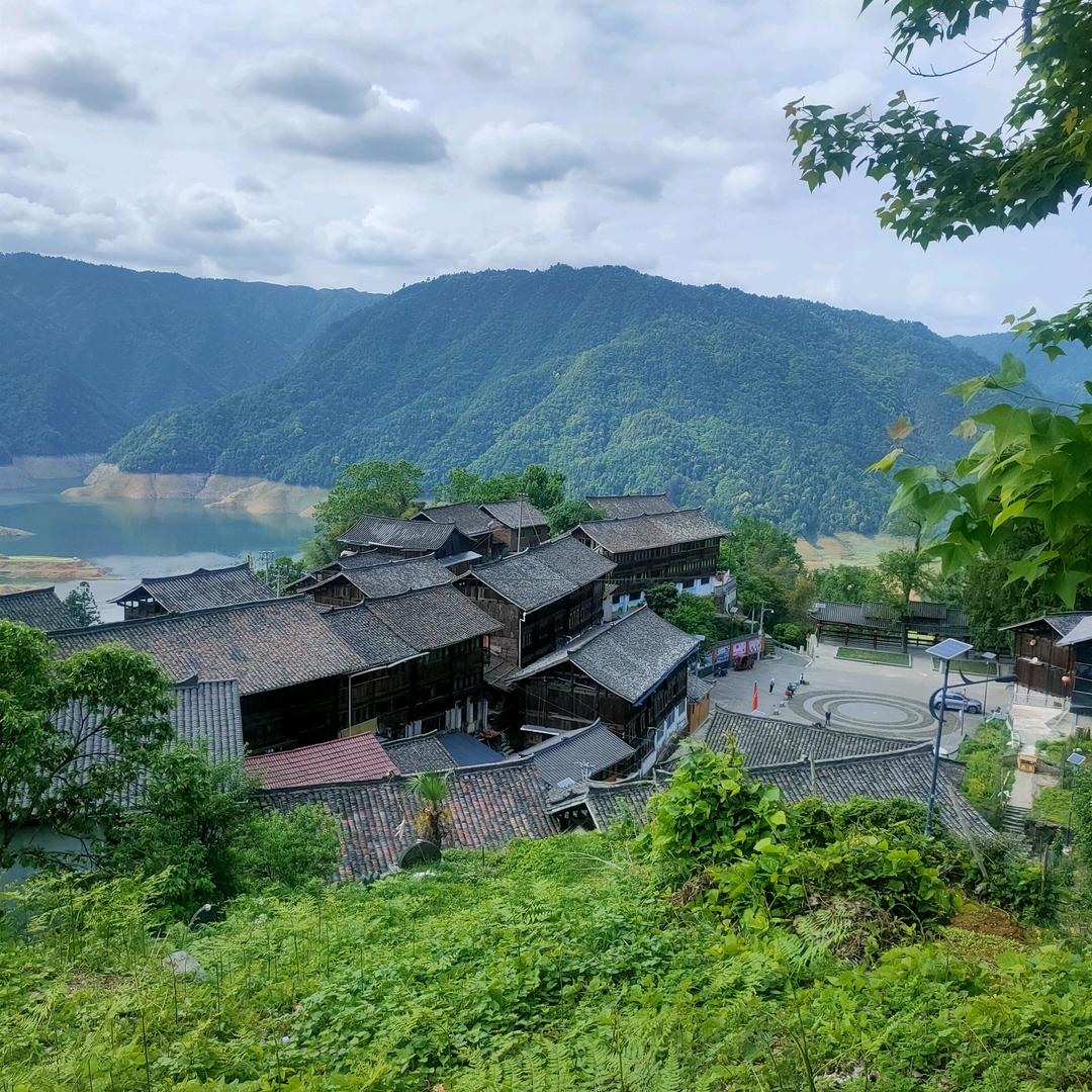 路少好物