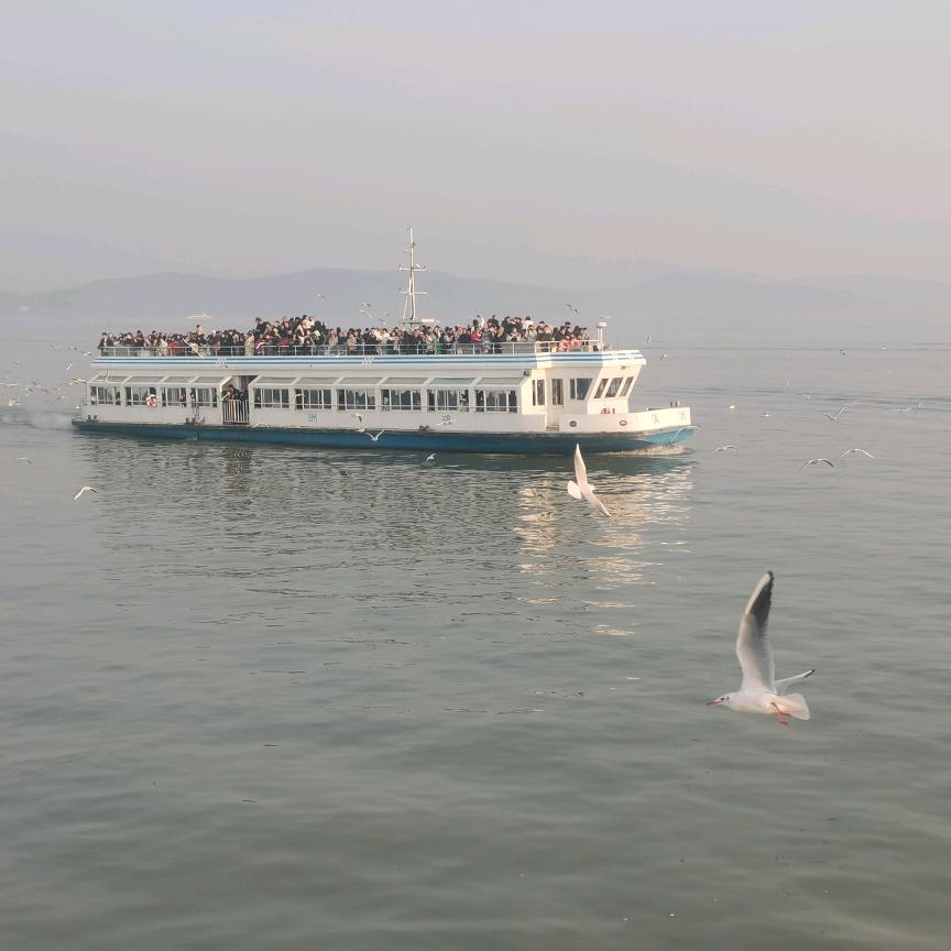 是要站在塔尖的男人啊