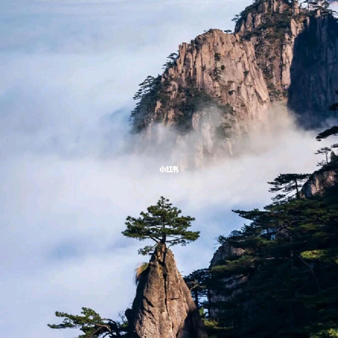 輝辉