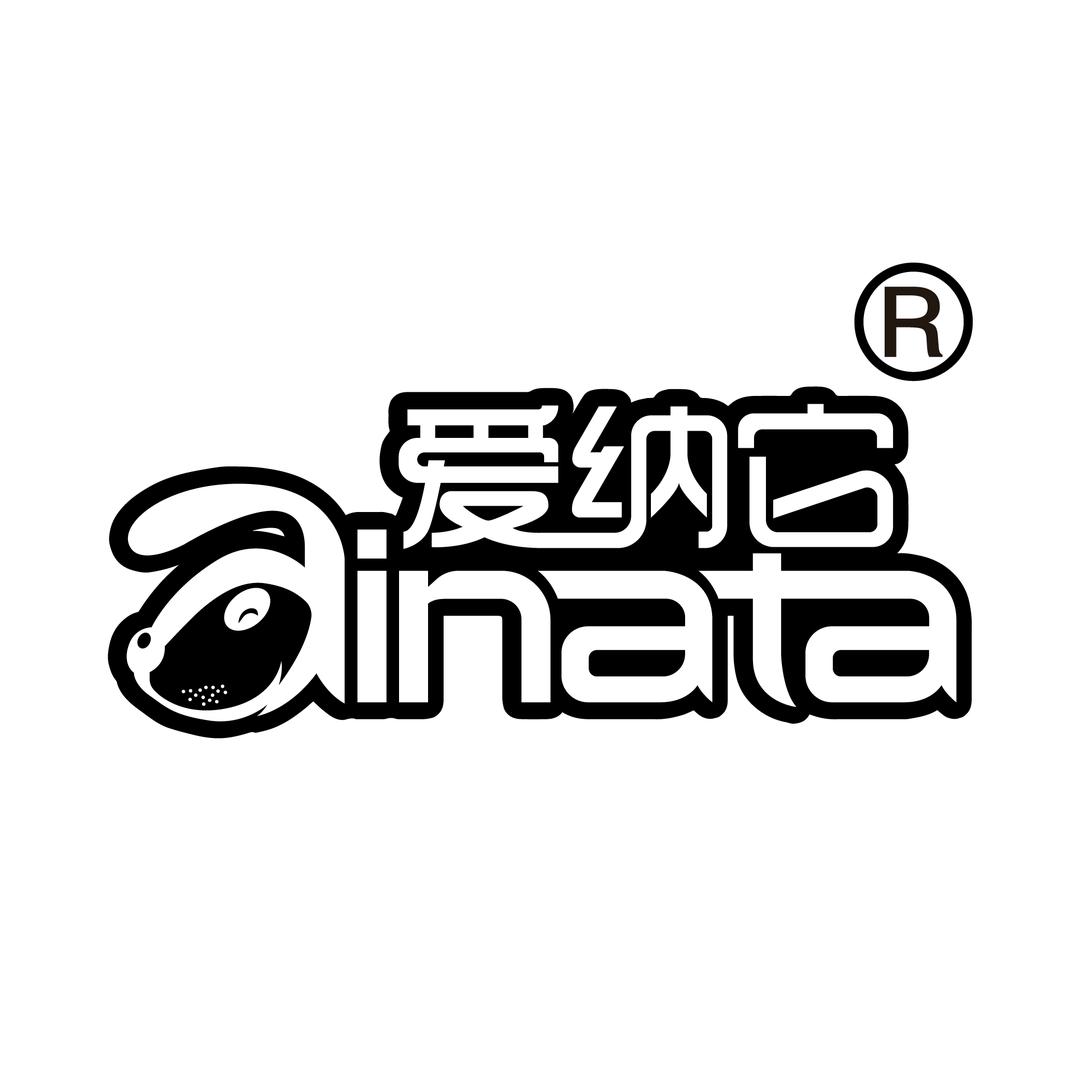 爱纳它宠物用品甄选