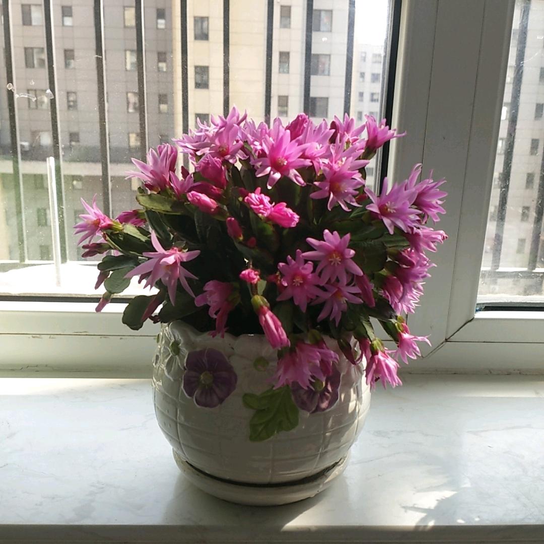 爱自己风生水起