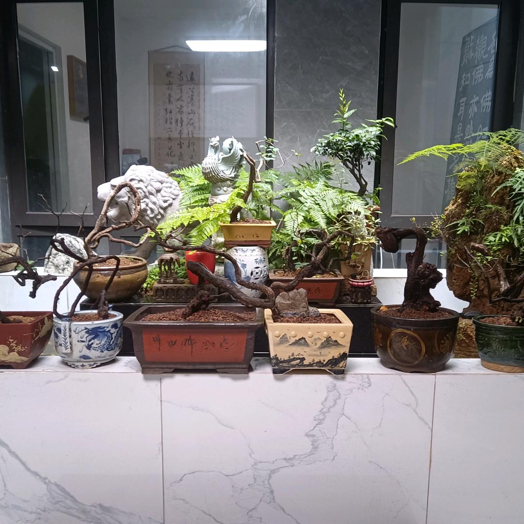 傲气中华