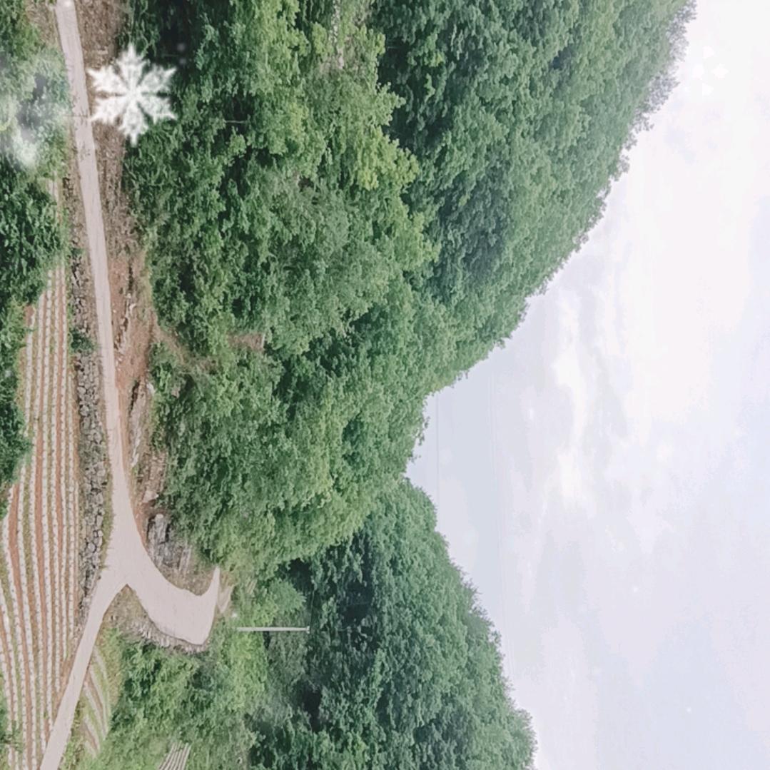 张祥玉