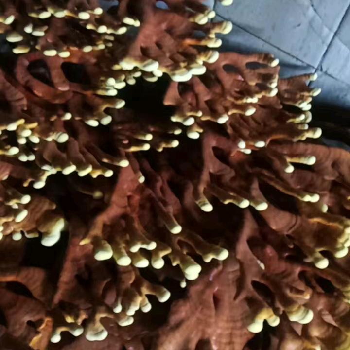 83759209349随风飘落