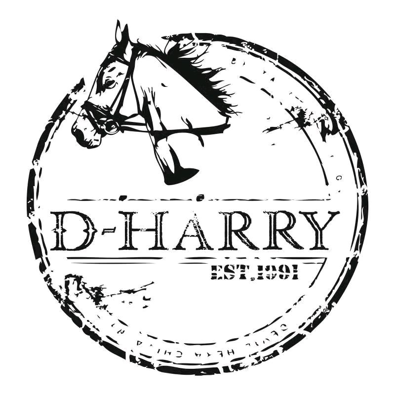 D-HARRY迪哈利伊宁新茂业店