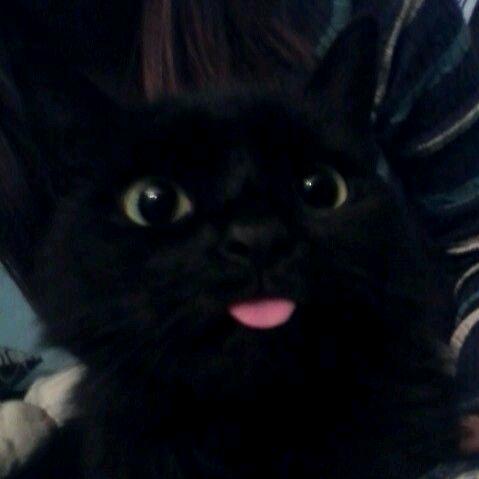 玄离的摸鱼日记