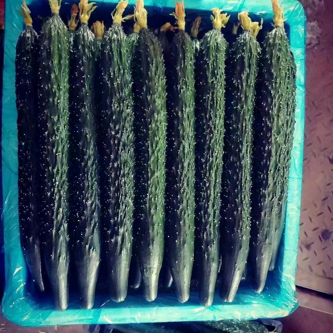 永年蔬菜小李代收