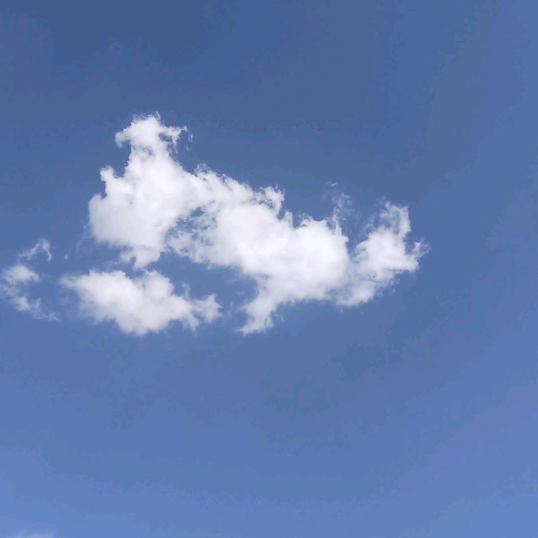 风吟鸟唱