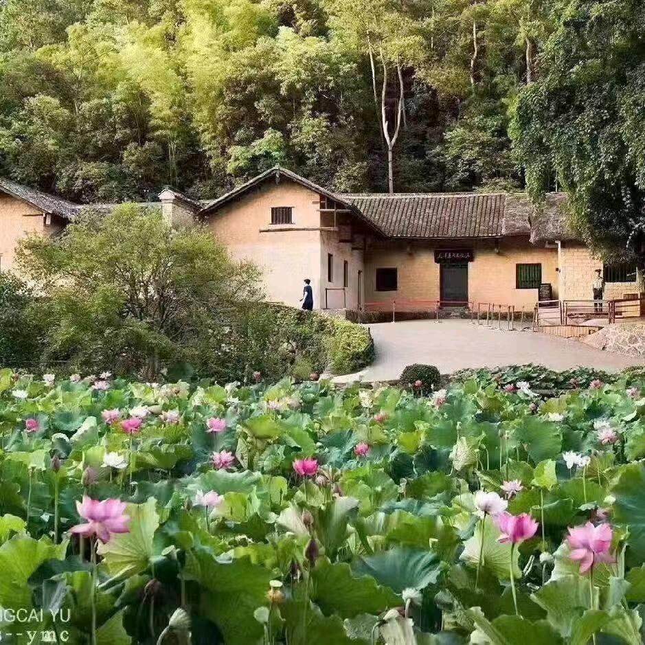 韶山旅游入景区办理业务