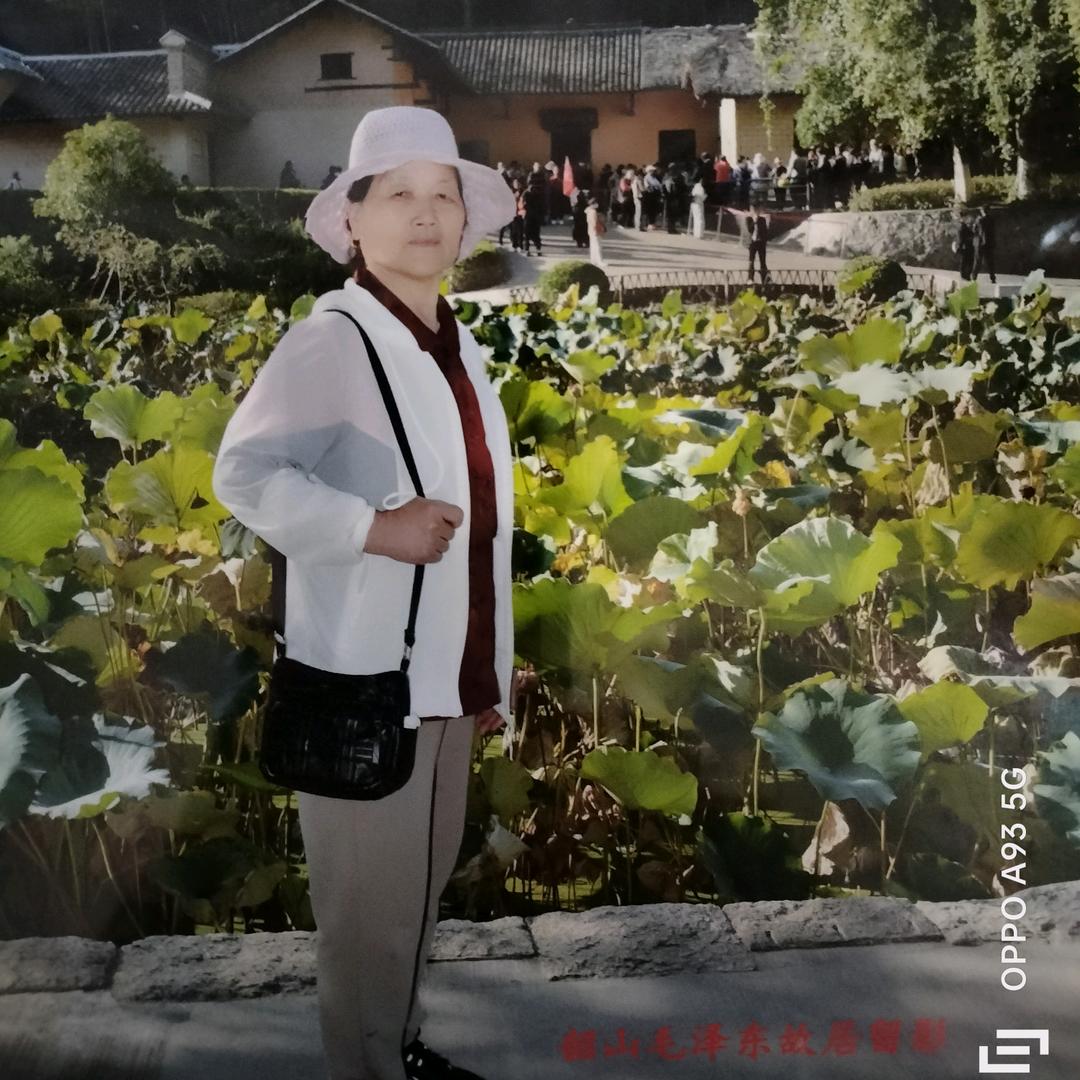 老阿姨76岁（拒绝私聊）