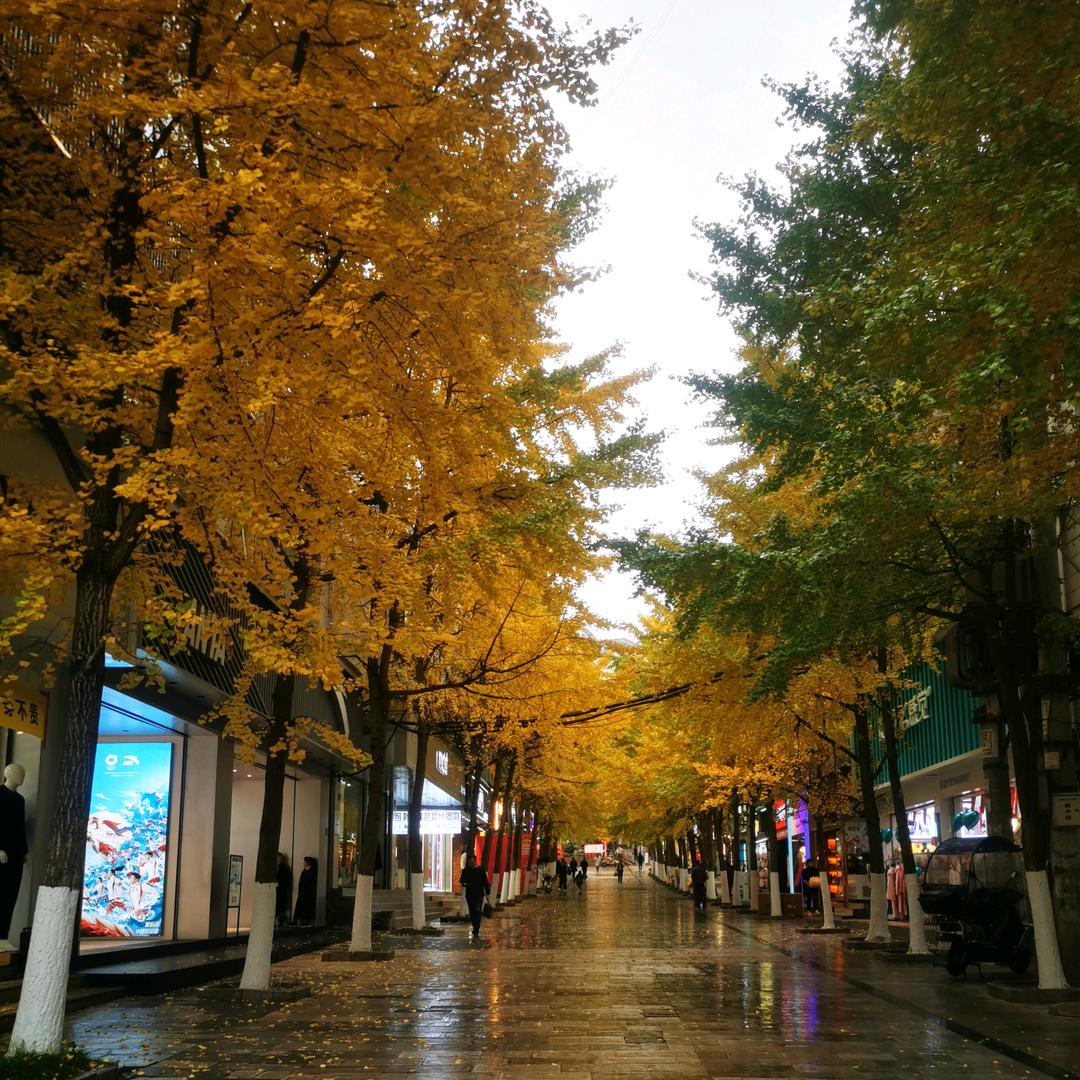 🥂梅💗烦🍡💝🍡脑🍭🍭