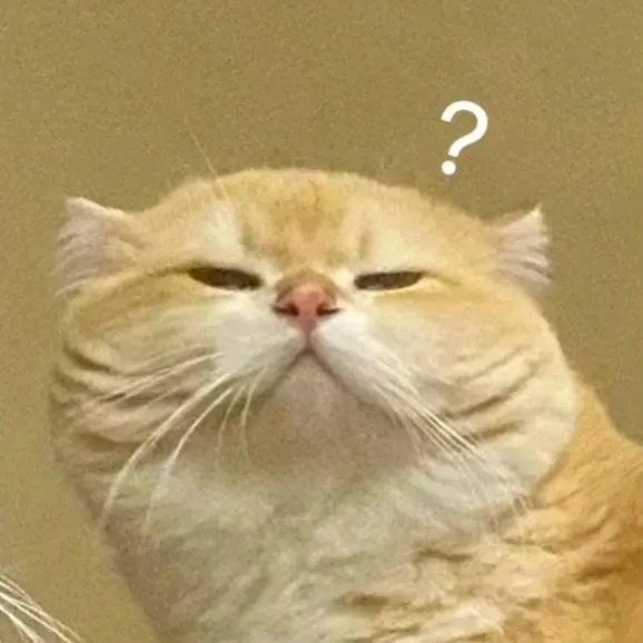 憋回去的眼泪终会从嘴角流下来