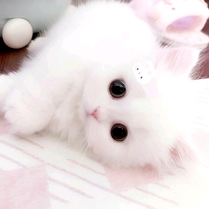 小周不迷糊