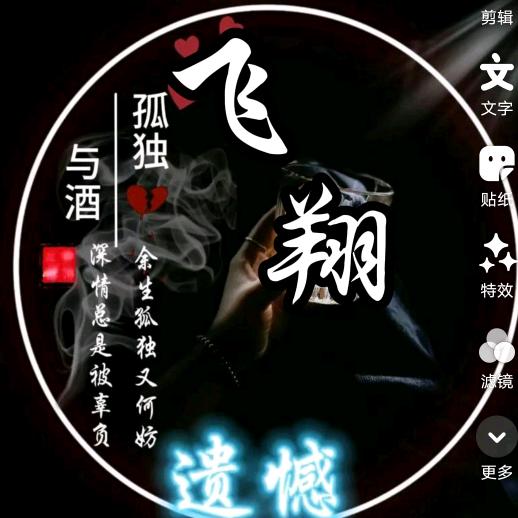 飞翔✨️逆夏