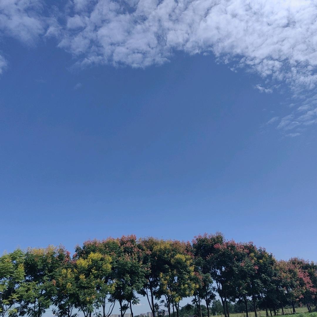 清风细雨微风不燥@