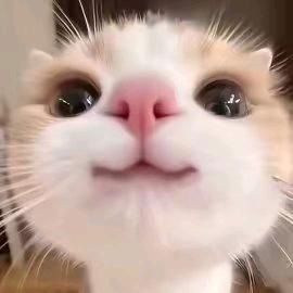 水长东